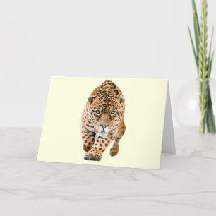 Cartão Walking Jaguar Eyes