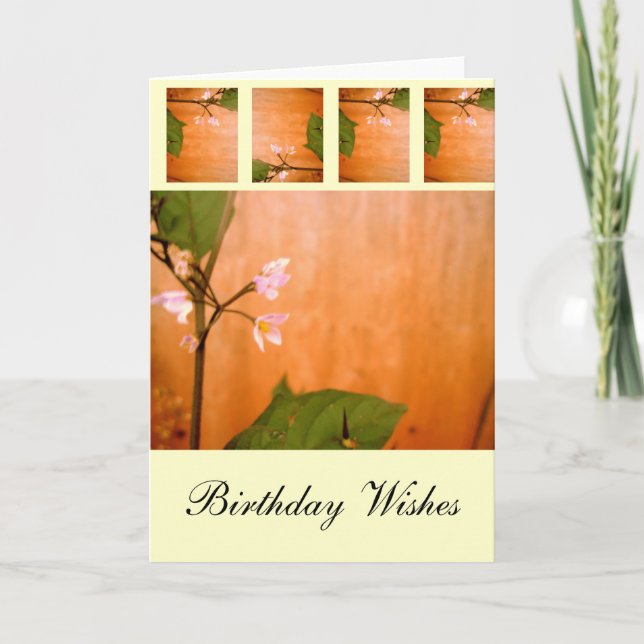 Cartão Wallflower (Frente)