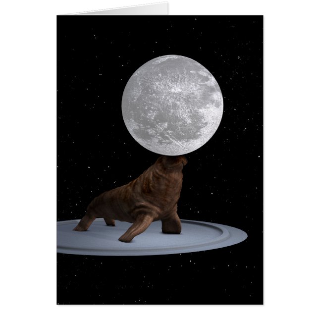 Cartão Walrus Balancing The Moon (Frente)