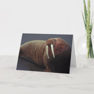 Cartão Walrus Greeting Card