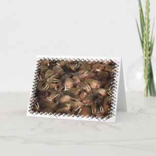Cartão Walruses Greeting Card
