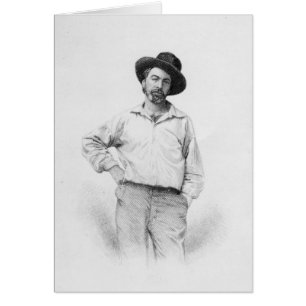 Cartão Walt Whitman, frontispício para "Folhas de