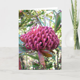 Cartão waratah