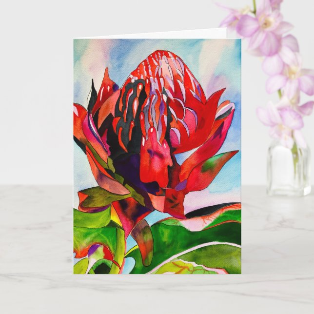 Cartão Waratah, cor-de-água natural da Austrália (Orquídea)