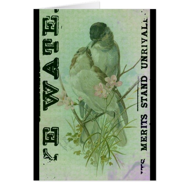 Cartão Warbler Vintage (Frente)