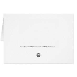 Cartão Warden Woods Autumn Sky Subway Thank You Card