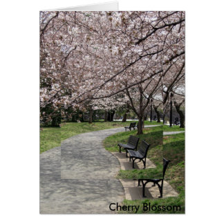 Cartão washington dc cherry blosom