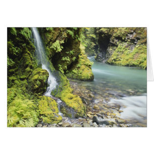 Cartão Washington, Parque Nacional Olímpico, Sazonal