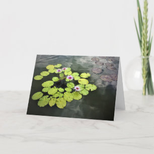 Cartão Water Lilies card