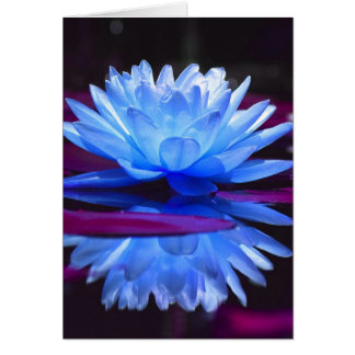 Cartão Water Lily Dream