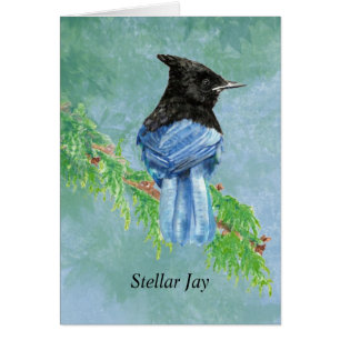 Cartão Watercolor Stellar Jay Bird Nature