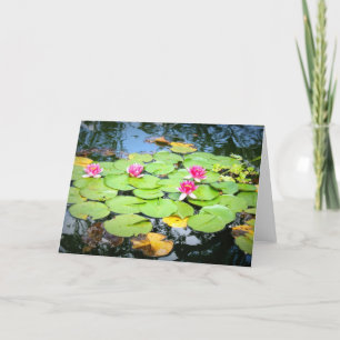 Cartão Waterlily