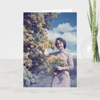 Cartão Wattle em Canberra - retro