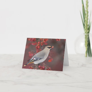 Cartão Waxwing boémio Notecards