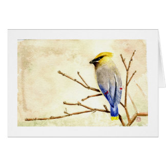 Cartão Waxwing de cedro