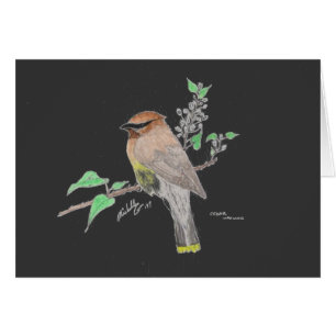 Cartão Waxwing de cedro