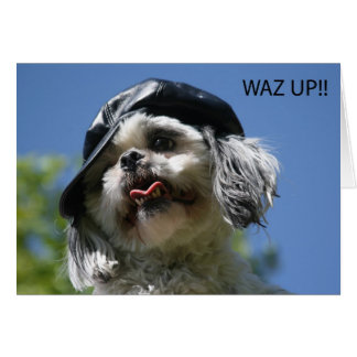 Cartão waz up