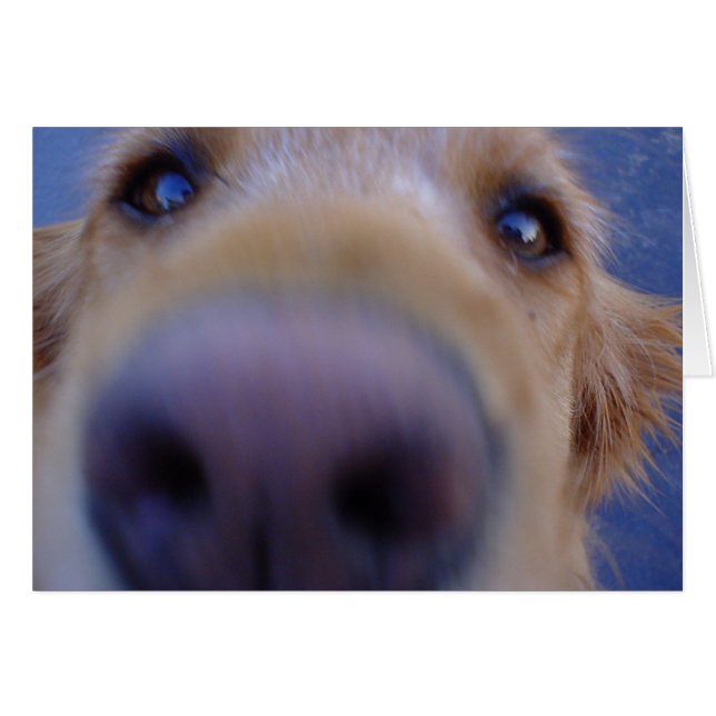 Cartão Wazzup? (Frente Horizontal)