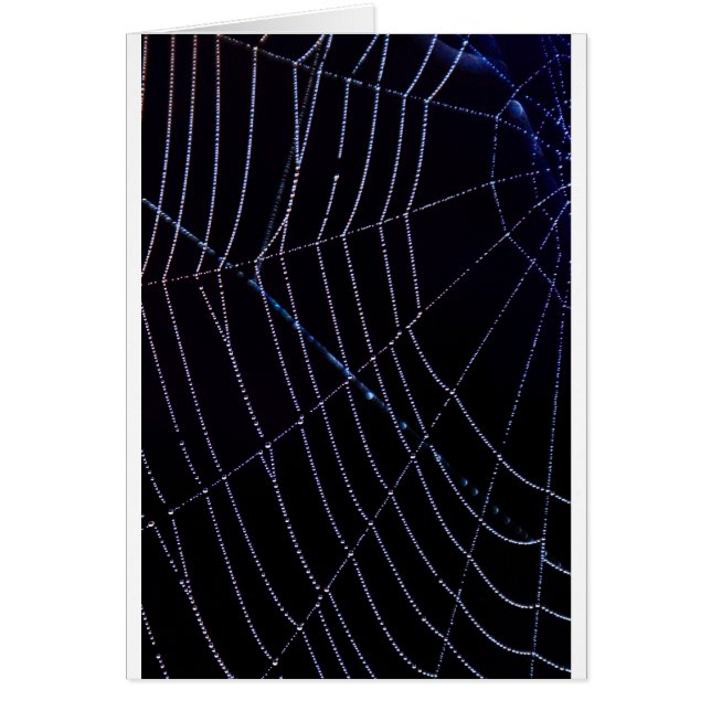 Cartão Web Spider (Frente)