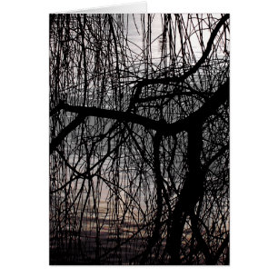 Cartão WEEPING WILLOW TREE Card