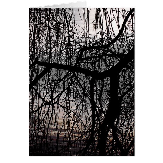 Cartão WEEPING WILLOW TREE Card (Frente)