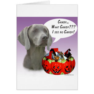 Cartão Weimaraner Halloween Candy