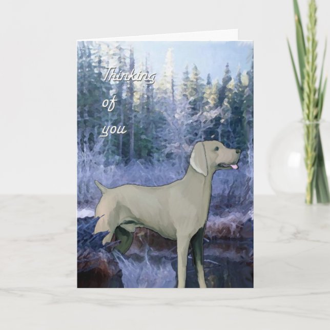 Cartão weimaraner_sympathy_card (Frente)