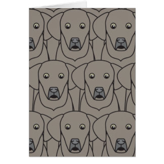 Cartão Weimaraners