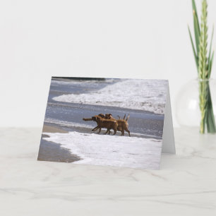 Cartão Welcome to the team!