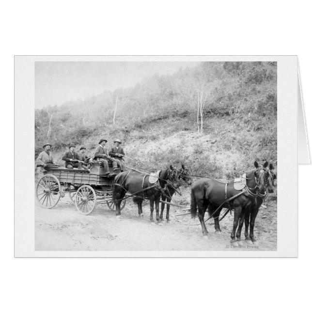 Cartão Wells Fargo Express Company (Frente Horizontal)