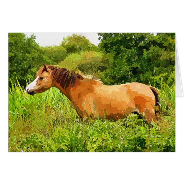 Cartão WELSH MOUNTAIN PONY Card (Frente Horizontal)