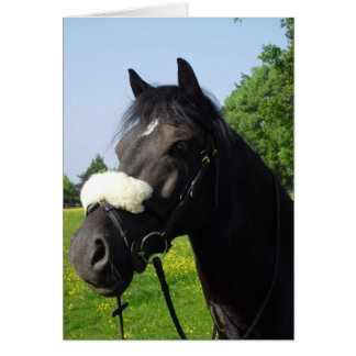 Cartão Welsh Section D