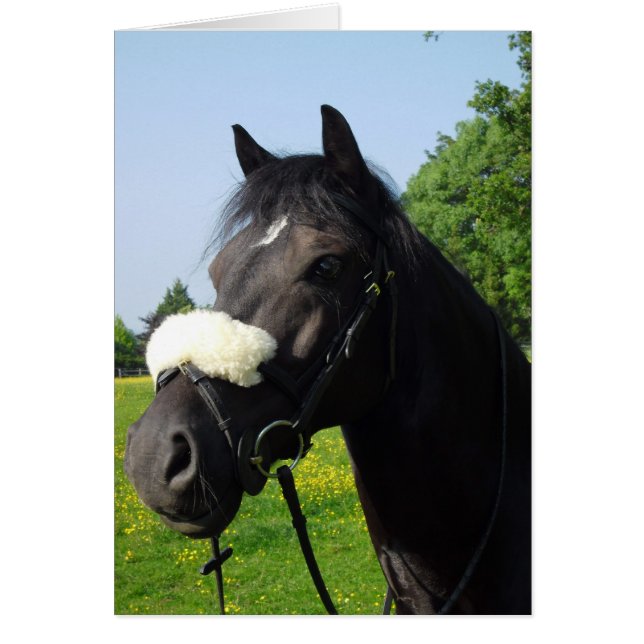 Cartão Welsh Section D (Frente)