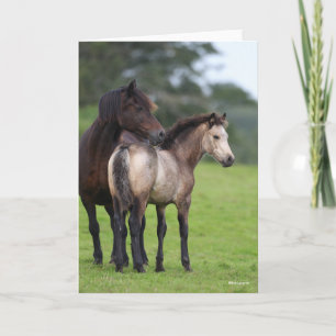 Cartão Welsh Section D Mare e Foal Stander