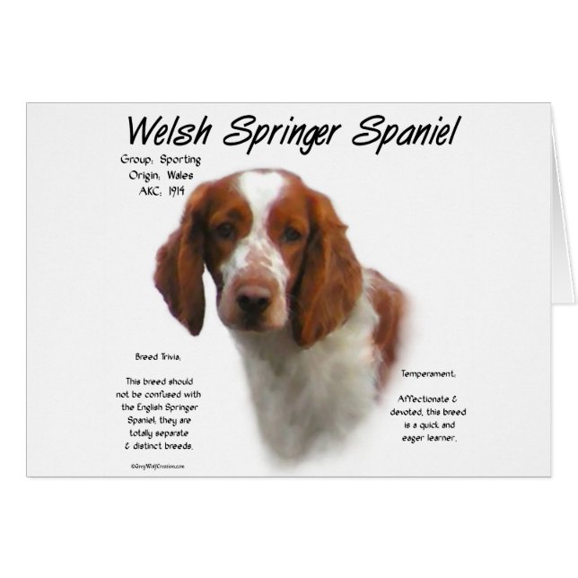 Cartão Welsh Springer Spaniel History Design (Frente Horizontal)