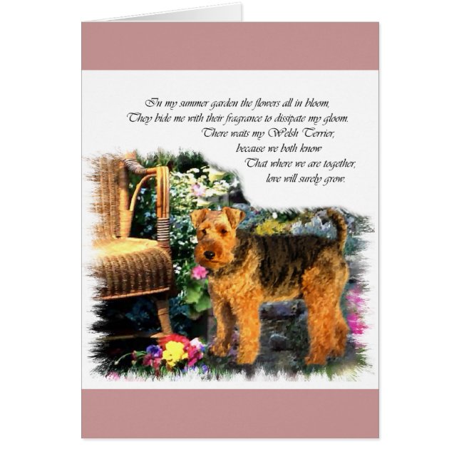 Cartão Welsh Terrier Art Gifts (Frente)
