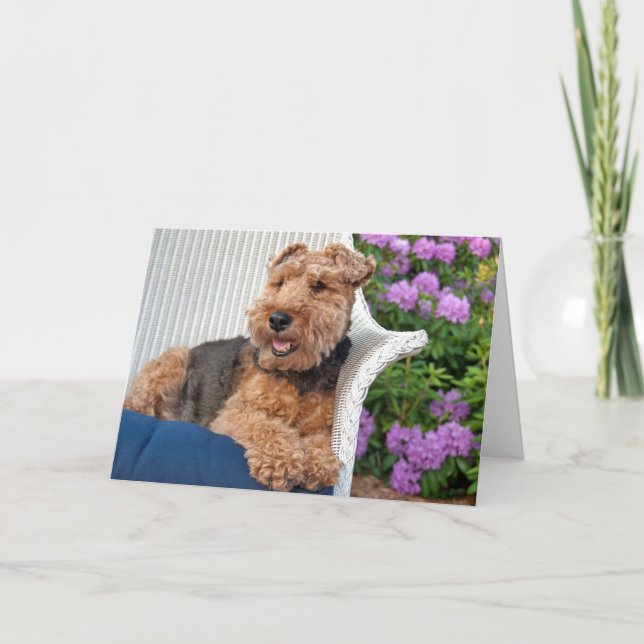 Cartão Welsh Terrier Birthday (Frente)