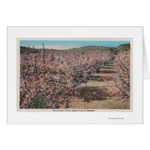 Cartão Wenatchee, WAView of Apple Trees in Blossom