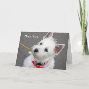 Cartão west highland terrier dog miss you card