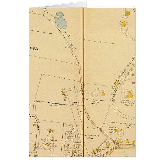 Cartão West Roxbury, Massachusetts 6 (Frente)