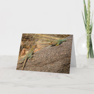 Cartão Western Collared Lizards no Colorado