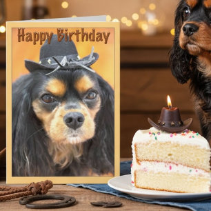 Cartão Western Happy Birthday Cavalier King Charles