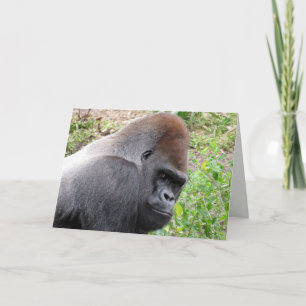 Cartão Western Lowland Gorilla Greeting Card