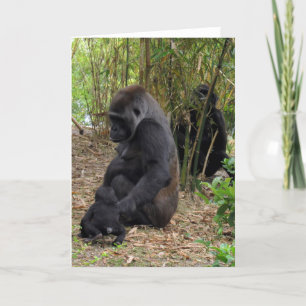 Cartão Western Lowland Gorilla - Mãe e Bebê