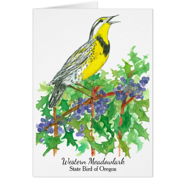 Cartão Western Meadowlark Bird Oregon Grape (Frente)