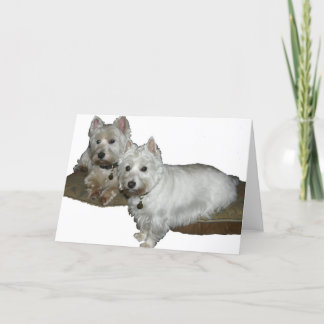 Cartão Westie Desi e Lucy