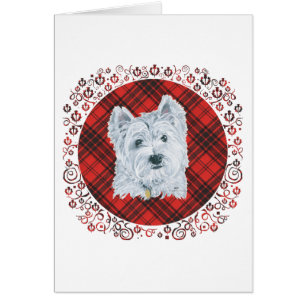 Cartão Westie em Tartan