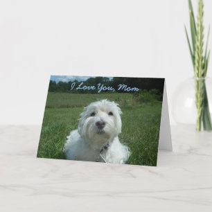 Cartão Westie I Love You Mom Happy Mother's Day Card