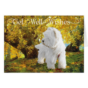 Cartão Westie nos Golden Woods
