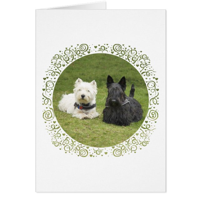 Cartão Westie & Scottie Green Grass (Frente)